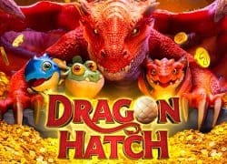 Dragon Hatch Casino Game