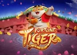 fortune-tiger